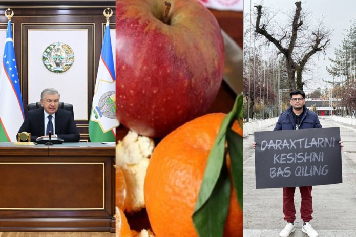 15-yanvar kuni O‘zbekistonda sodir bo‘lgan eng muhim voqealar dayjesti