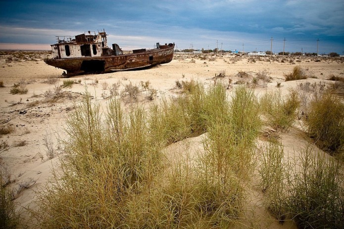 Uzbekistan conducts experiments on land restoration and crop cultivation