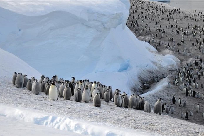 Orexovo-Borisovo jinsiy massaji Ginekologda ruscha BDSM pornosi