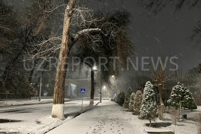 3-6-yanvar: 2023-yilning ilk haftasida respublika bo'ylab qor va yomg'ir yog'ishi kutilmoqda
