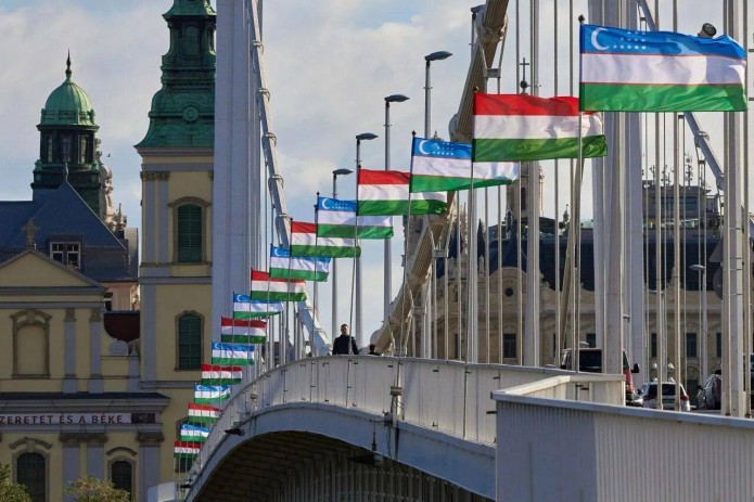 Uzbek Ambassador and Hungarian Institute Pave Way for Cultural Collaboration