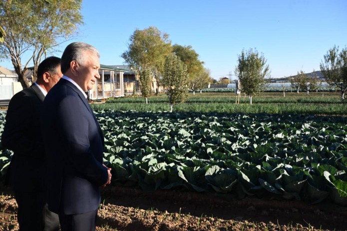 Shavkat Mirziyoyev Sariosiyo tumanidagi Sebzor mahallasida bo‘ldi