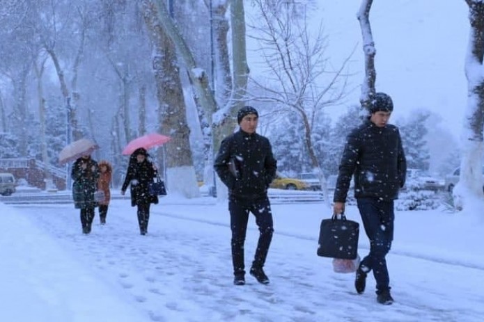 Каникулы для студентов вузов и лицеев продлили до 24 января