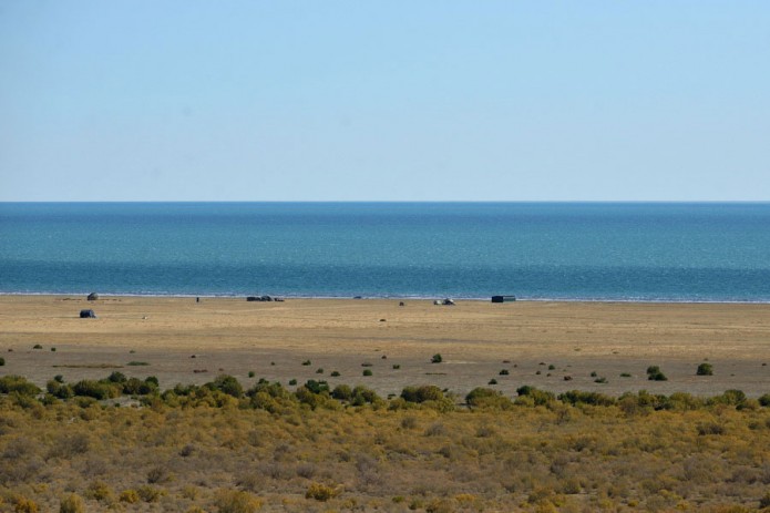 Growing date seedlings in Aral Sea’s dry area