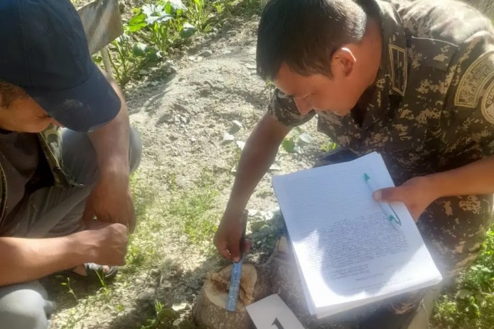 2 1. Present value of annuity. 14 4/5-6 11/12+12 3/4-7 2/15 /10 2/3-3 11/12 +2 2/3*3/3/4. 10:(2 12/17 +1 5/17) -(3 4/5 + 1 2/5) :6. 4 группа основного материала.