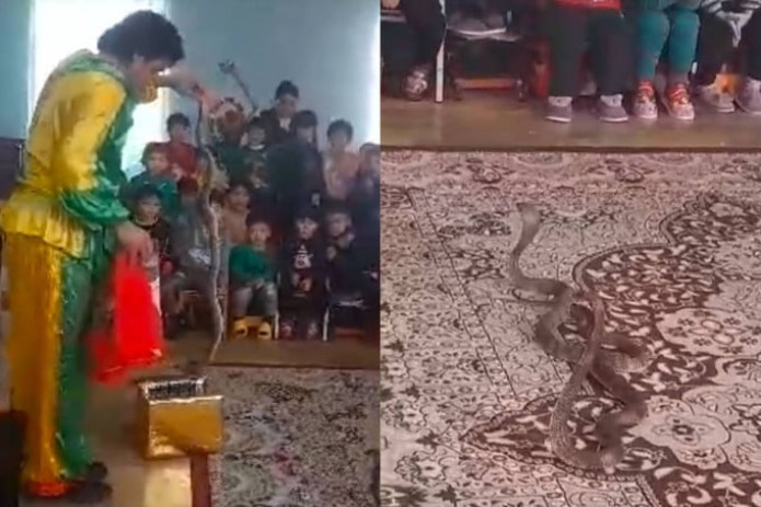 Toshkent viloyatidagi bog‘chada ilonlar bilan tomosha ko‘rsatgan shaxs jazolandi