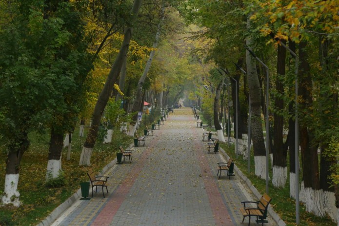 18-19 ноябр: Дам олиш кунлари Ўзбекистон ҳудудига нам ва совуқ ҳаво ...