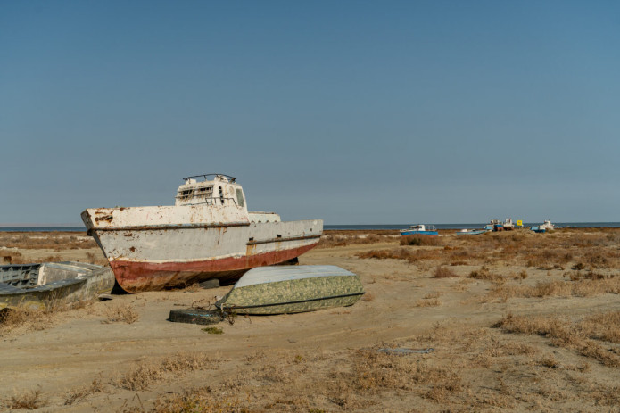 Aral Sea retreat devastates wildlife