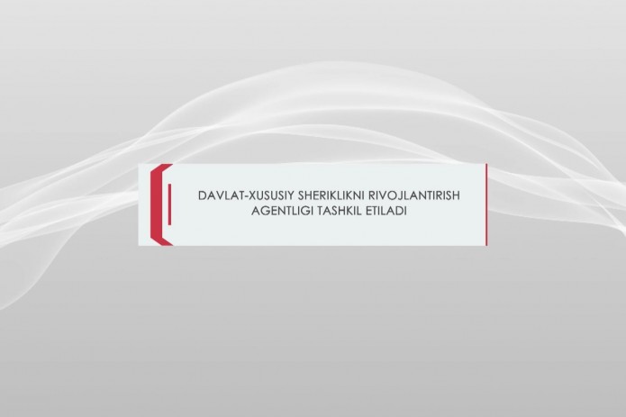 Davlat-xususiy sheriklikni rivojlantirish agentligi vazifalari nimalardan iborat?
