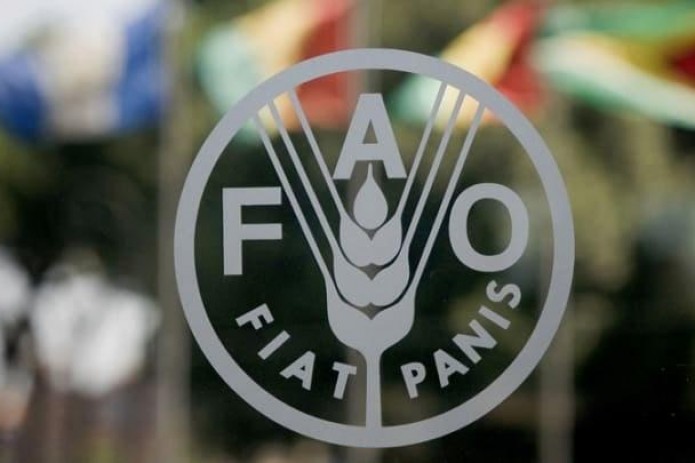 Региональная конференция ФАО впервые пройдет под председательством Узбекистана