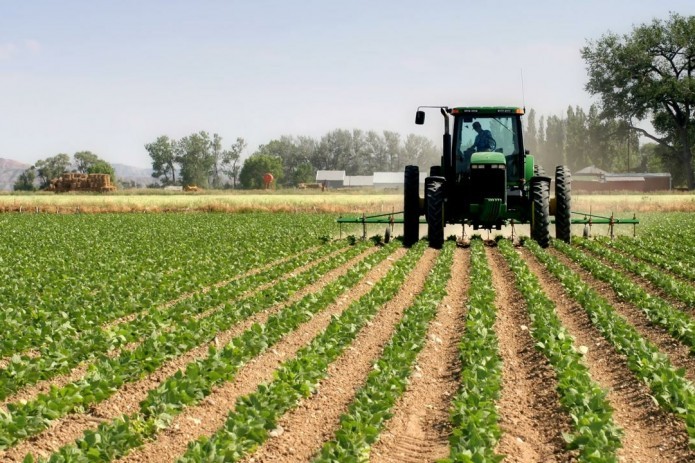 EU allocates 6 million euros to boost agriculture in Uzbekistan