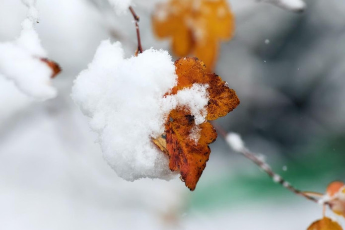 Dekabrda qanday ob-havo bo‘lishi kutilmoqda?