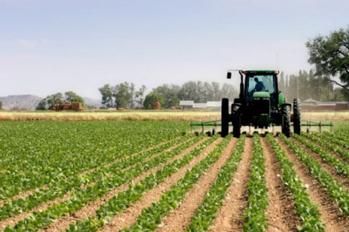 O'zbekiston qishloq xo'jaligi fanlari akademiyasi tashkil etiladi