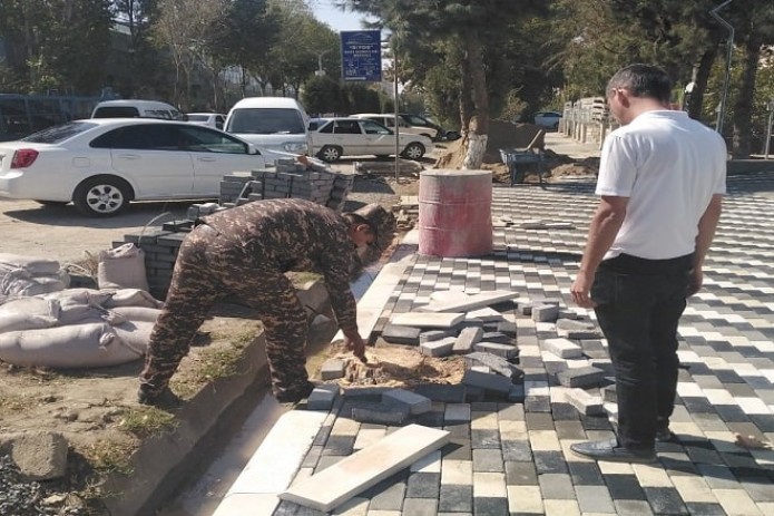 Samarqand shahrida sog'lom archalarni kesib tashlagan MChJ tashkiloti aniqlandi