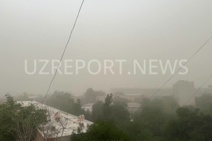 Toshkentda havo sifati 12 barobarga yomonlashdi