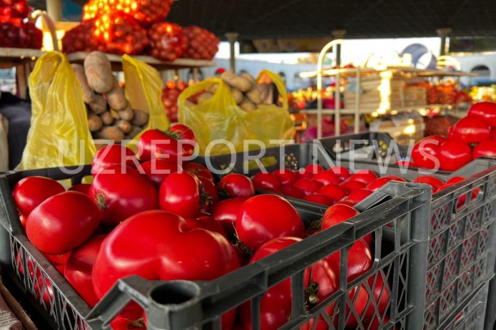 O‘zbekistonda pomidor narxi so‘nggi besh yillik rekordni yangiladi