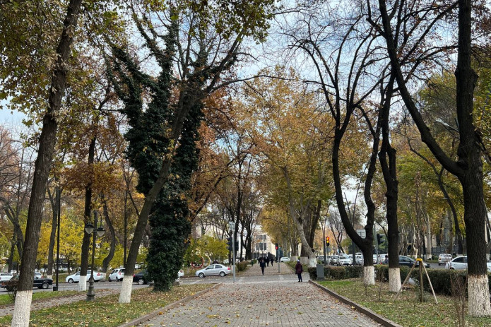 O'zbekistonga ertadan salqin havo massasi kirib keladi