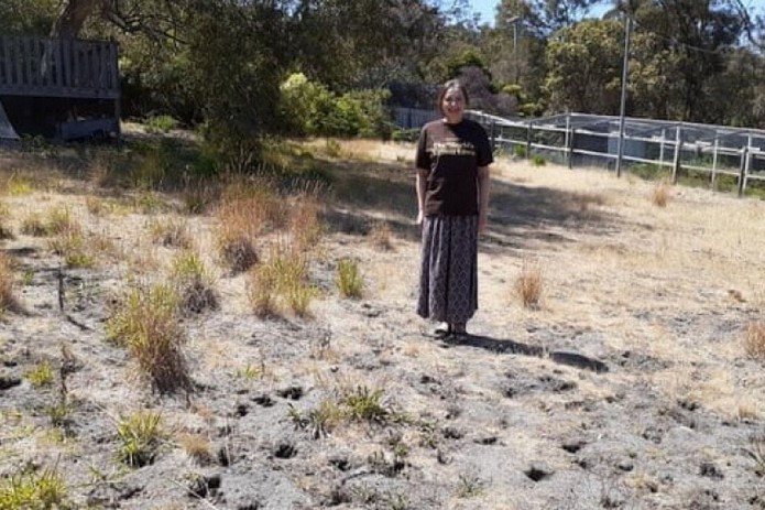 Standforddagi Tasmaniya bog'i dunyodagi eng xunuk maysazor deb e'lon qilindi