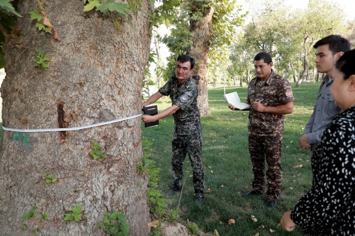 В Национальном парке Узбекистана экологи обнаружили множество поврежденных деревьев