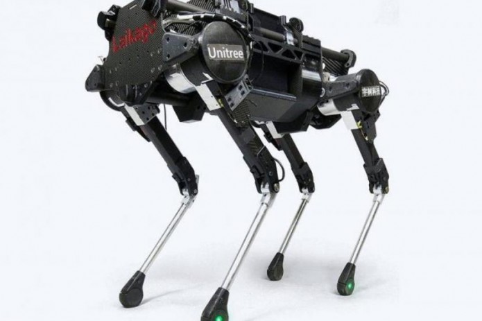 В Китае разработали роботизированный пёс на пульте управления