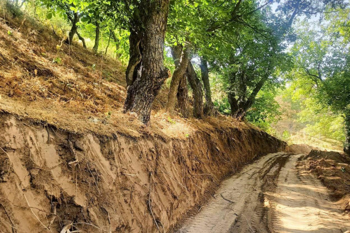 "Omonqo‘ton" milliy bog‘ida noqonuniy xatti-harakatlar bilan tabiatga zarar yetkazildi