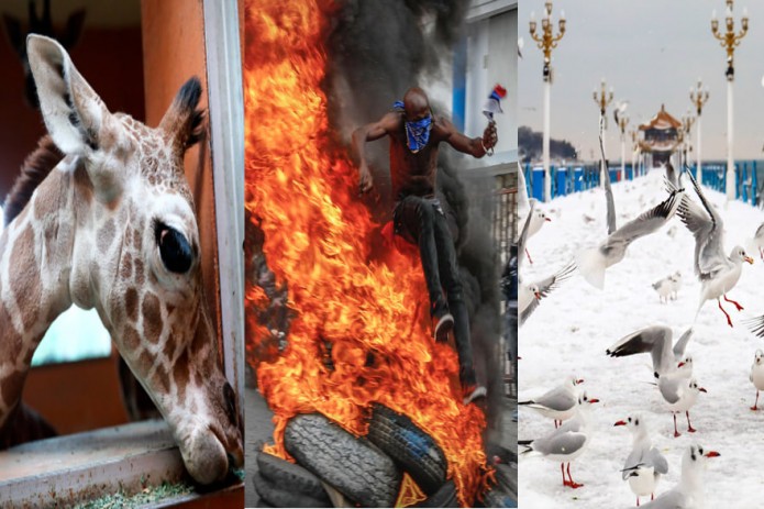 Polsha jinsiy aloqa chempionati Polsha jinsiy aloqa chempionati