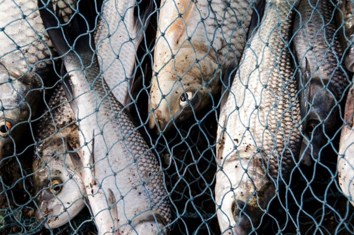 Uzbekistan imposes ban in fishing