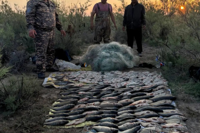 Yil boshidan beri O'zbekistonda noqonuniy ov qilgan 298 nafar shaxsga chora ko‘rildi