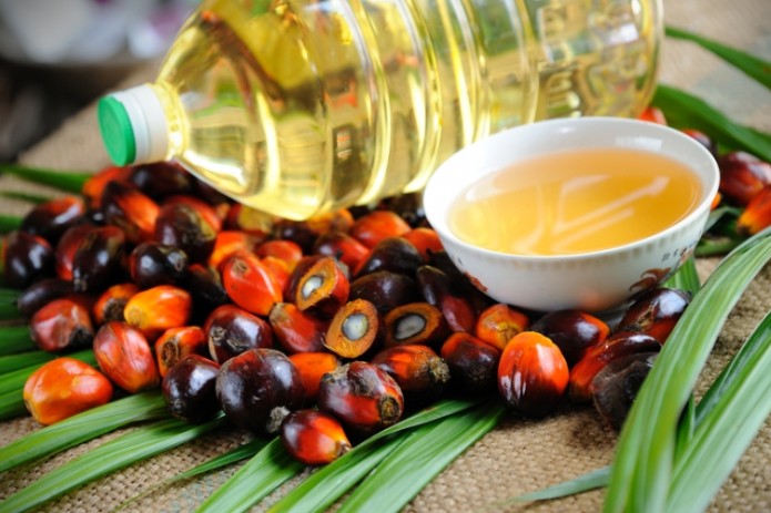 Депутаты инициировали проверку влияния пальмового масла на здоровье человека
