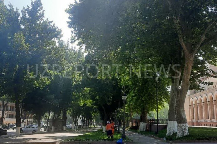 Hot and Dry Weather Across Uzbekistan on July's Last Day