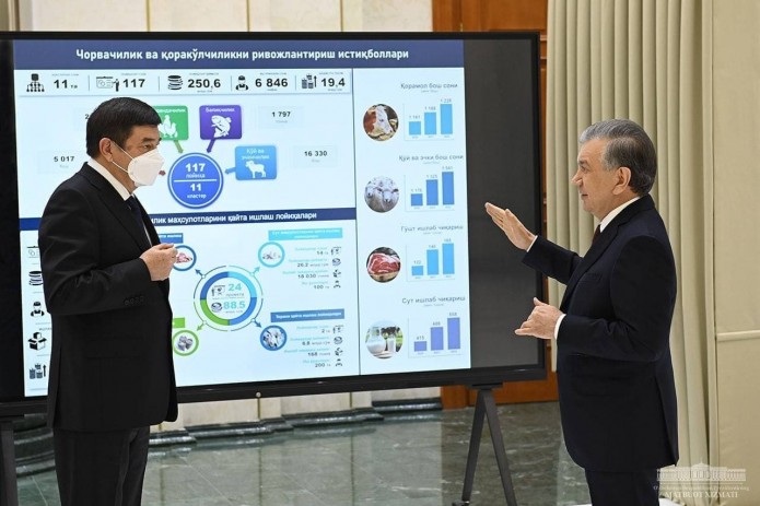 Shavkat Mirziyoyev Qoraqalpog'istonda amalga oshiriladigan investitsiya loyihalari taqdimoti bilan tanishdi