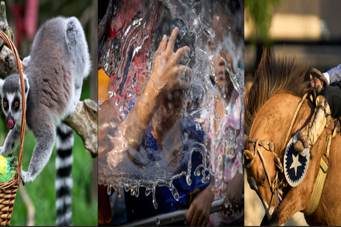 Edinburg hayvonot bog‘idagi halqa dumli lemur, Tailanddagi suv festivali, Urugvayning Montevideo shahridagi Criolla Week Rodeo festivali. Hafta suratlari