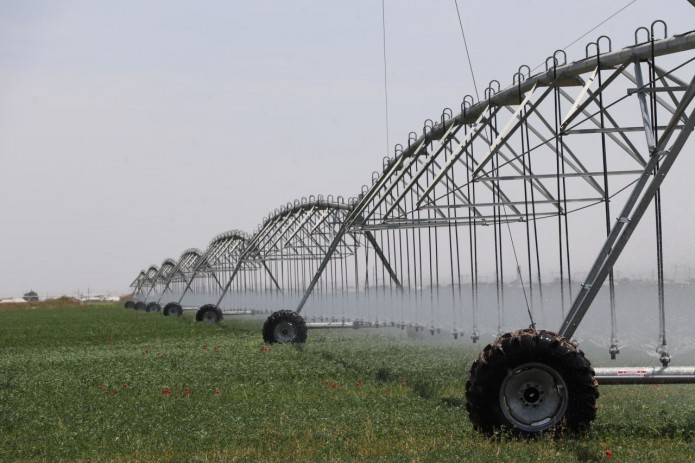 Tashkent Region Adopts Water-Saving Tech in Agriculture