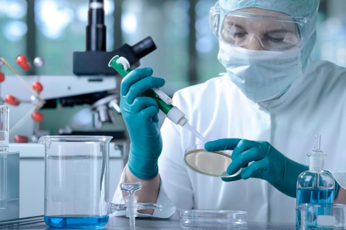 Husnbuzarlarga qarshi birinchi vaksinaning klinik sinovlari boshlandi
