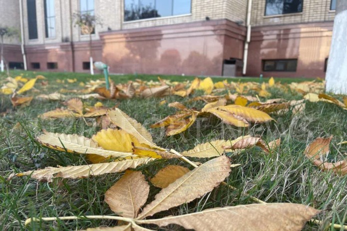 23-sentyabr: Bugun respublika bo’ylab harorat +32 darajagacha ko’tariladi