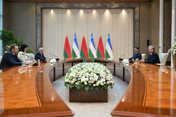 President receives Chairwoman of Council of Republic of Belarus