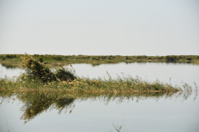 Qoraqalpog‘istondagi Jiltirbas ko‘li Ramsar ro‘yxatiga kiritildi