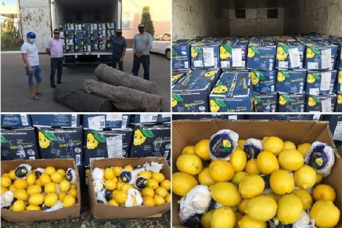 Sifati kafolatlanmagan Argentinada yetishtirilgan 200 mln so'mlik limonlarning noqonuniy olib kirilishiga barham berildi