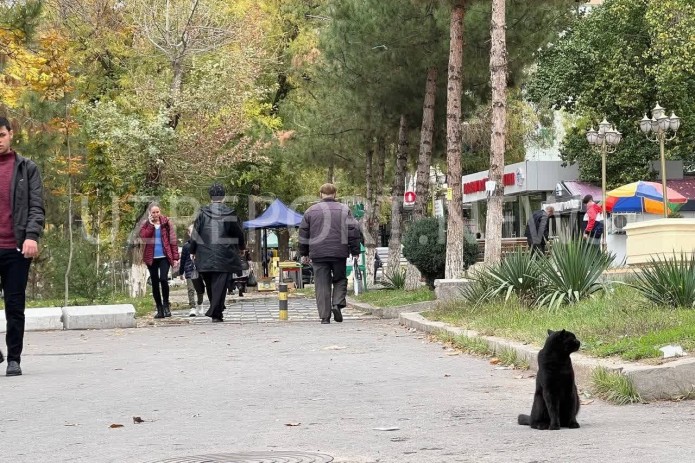 O‘zbekiston aholisi 36 million kishidan oshdi