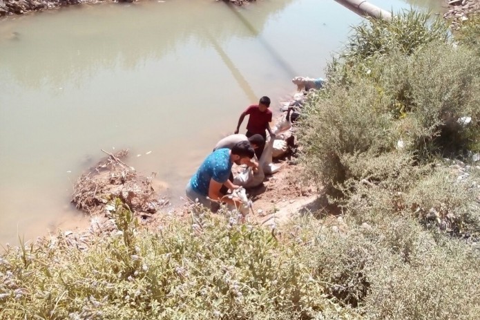 Toshkent viloyatidagi kanal bo'yida bir qancha hayvon suyaklari to'planib qolganligi aniqlandi