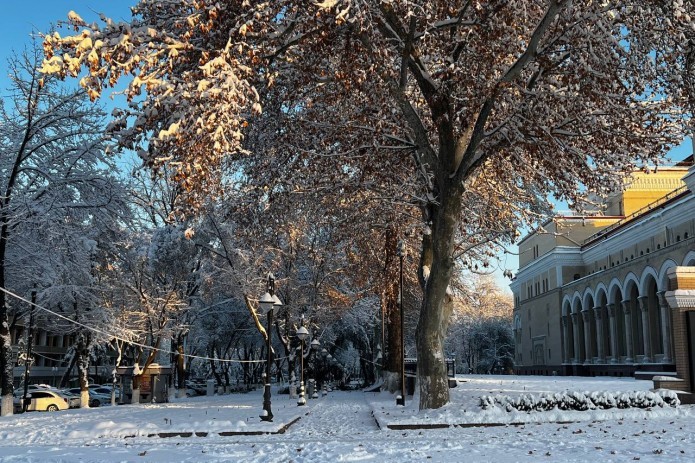 Wet and Cold Spell Hits Uzbekistan