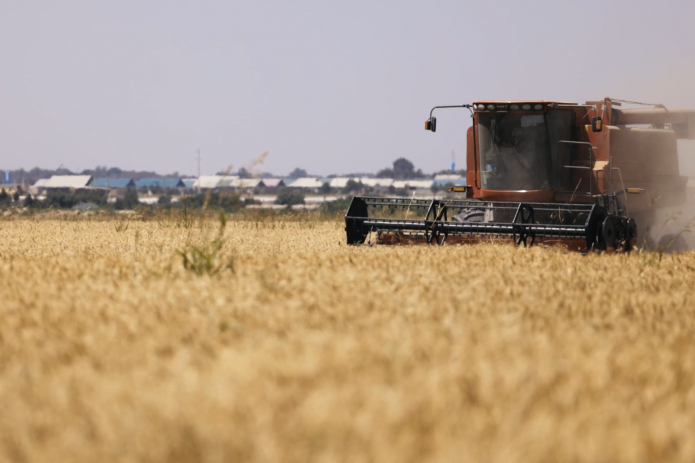 Uzbekistan Exceeds Grain Harvest Targets