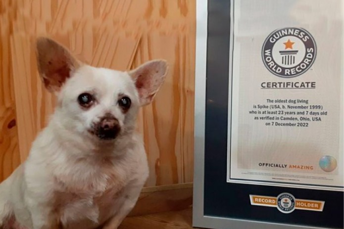 Eng tukli vagina Ginnesning rekordlar kitobiga kiritilgan.