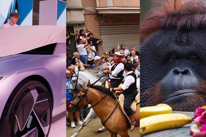 Bali hayvonot bog'idagi 45 yoshli orangutan, Ispaniyadagi buqalar poygasi, Madriddagi suv toshqinlari. 5-sentyabr  suratlari