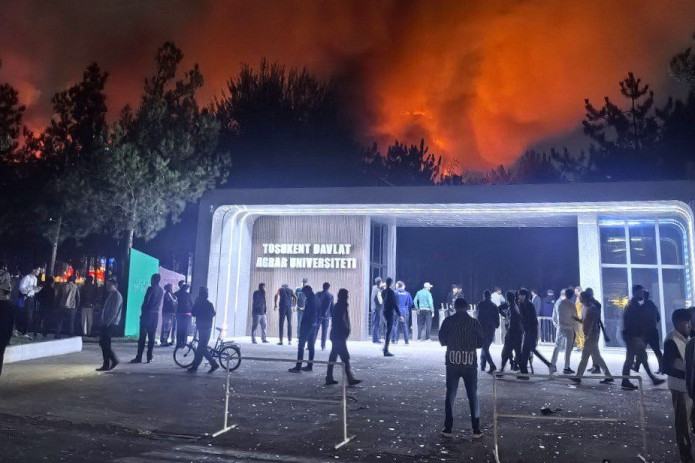 Jo‘rabek Mirzamahmudov: Agrar universitetdagi yong‘inga quyosh panellari sabab bo‘lmagan