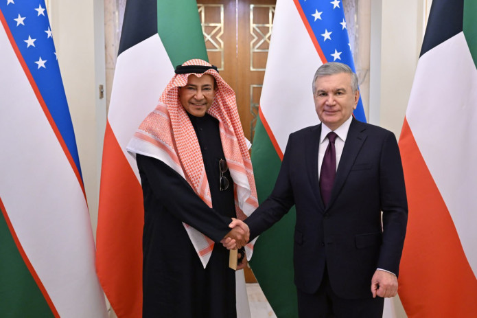 O‘zbekiston Prezidenti "Gulf Care General Trading" kompaniyasi rahbari bilan uchrashdi