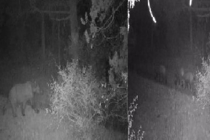 Dushdagi katta kokraklar HD porno Uy qurilishi jinsiy oyin