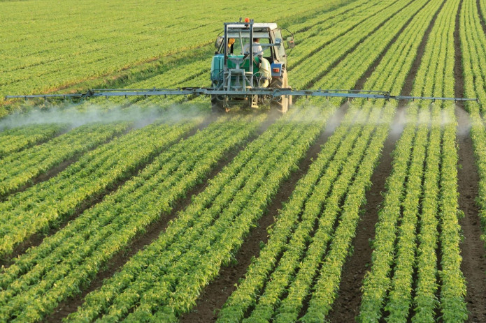 Agrosanoat sohasida yangi bozor mexanizmlari joriy etiladi