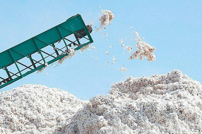 Havoni ifloslantirgan paxta tozalash korxonasi rahbari jarimaga tortildi