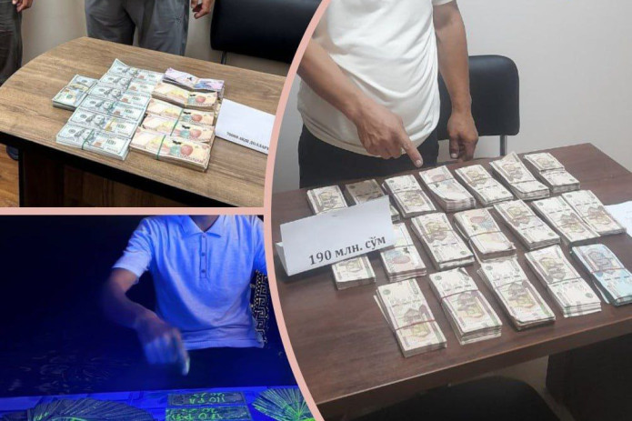 Sariosiyoda daryo va kanal muhofazasiga tegishli 32 sotix yerni 73,5 ming dollarga sotmoqchi bo‘lgan shaxs ushlandi